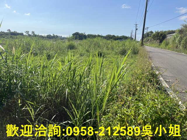 新竹農地-13