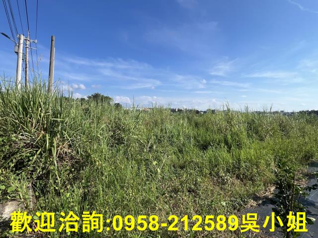 新竹農地-2