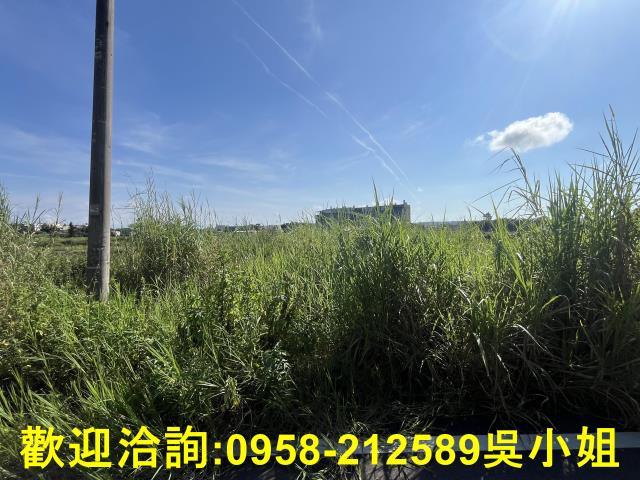 新竹農地-3