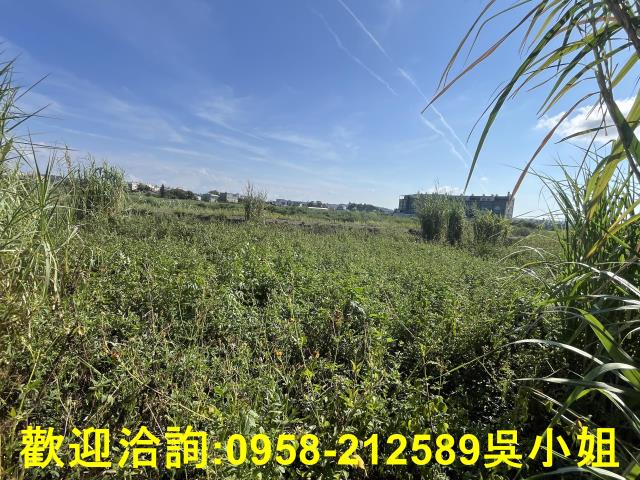 新竹農地-5