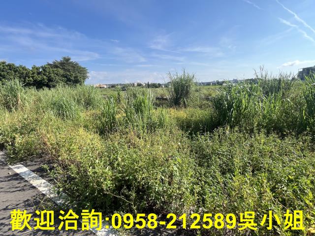 新竹農地-6