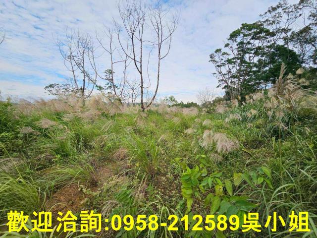 新埔農地-9