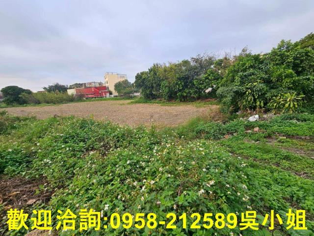新竹湖口農地-9