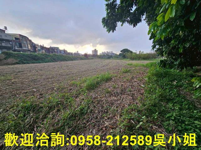 新竹湖口農地-1