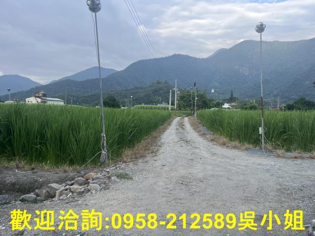 南投埔里農地-3