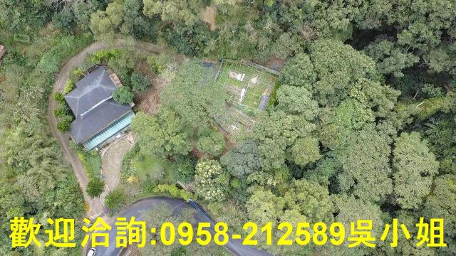 新埔山坡地-0