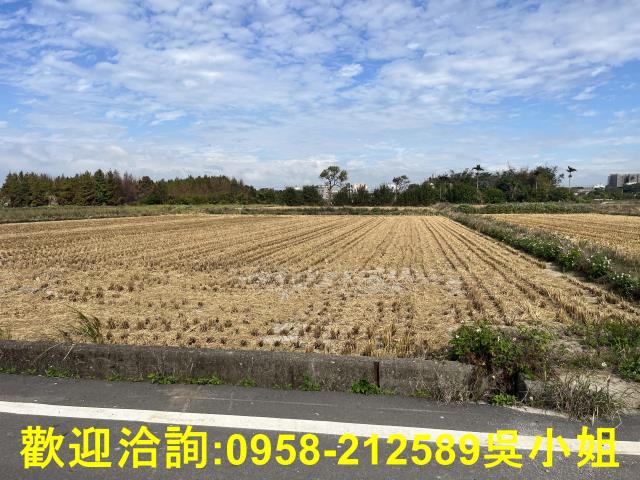 新豐農地-12