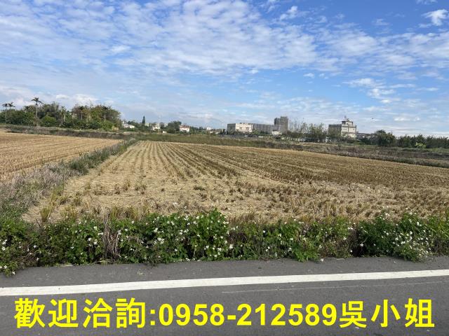 新竹新豐農地-0