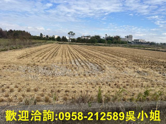 新竹新豐農地-4