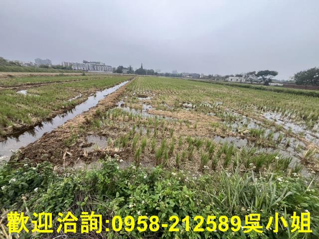 湖口農地-2