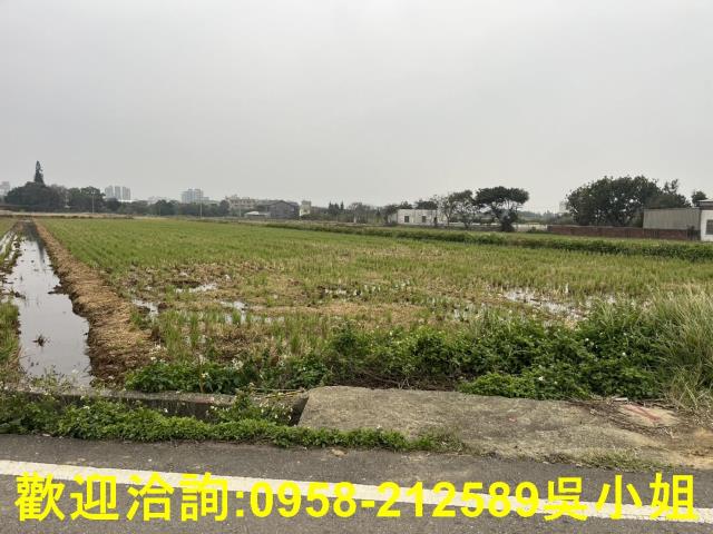 湖口農地-8