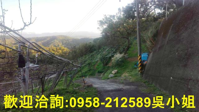 新竹新埔山坡地-6