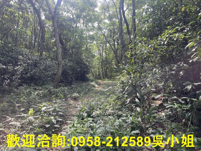 苗栗三義山坡地-6