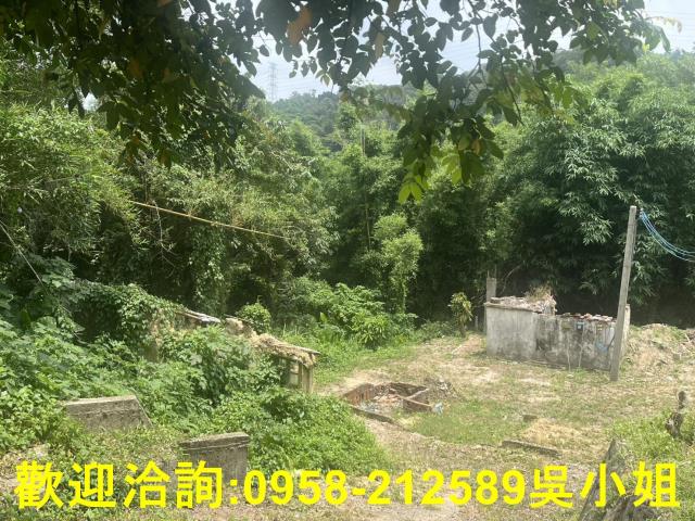 新竹新埔建地-4