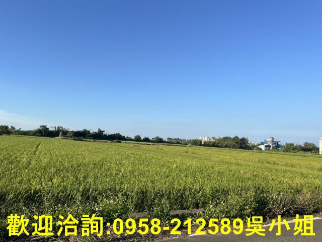 湖口農地-3