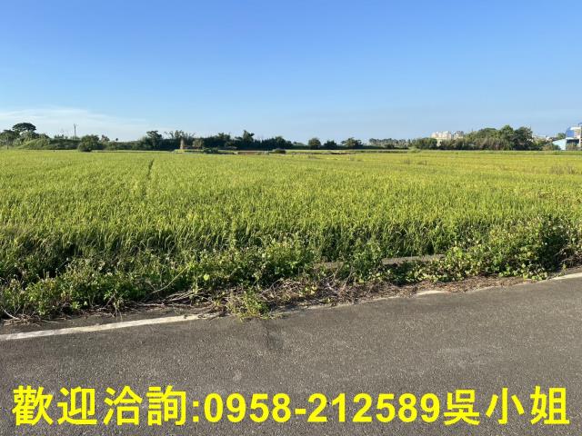 湖口農地-4