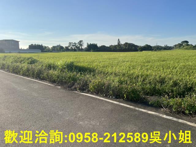 湖口農地-5