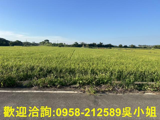 湖口農地-6