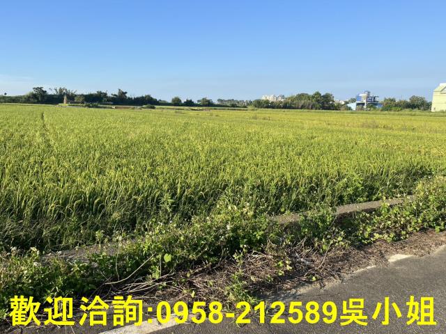 湖口農地-7