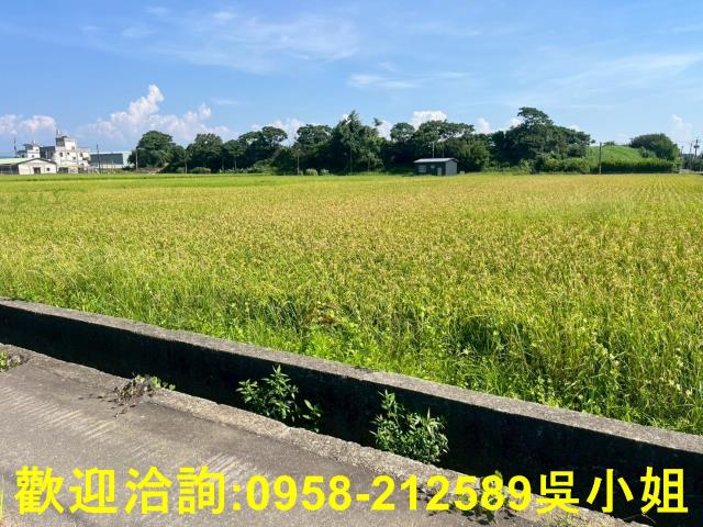 新竹湖口農地-1