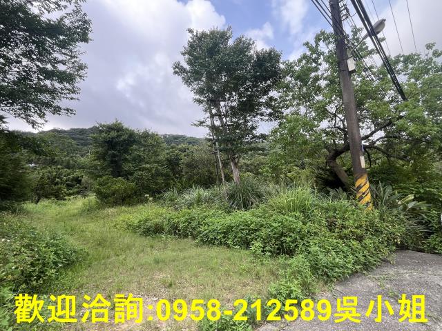 湖口農地-10