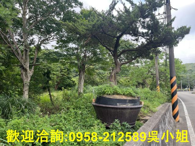 湖口農地-14