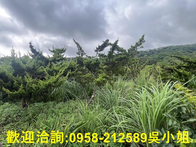 湖口農地-1