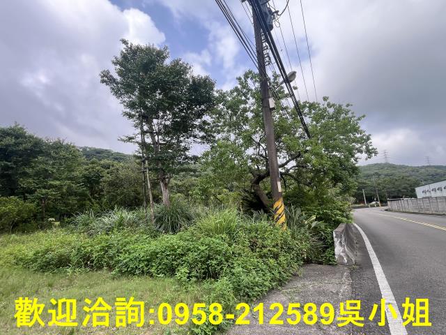 湖口農地-2
