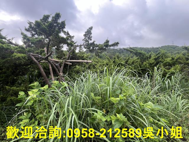 湖口農地-3