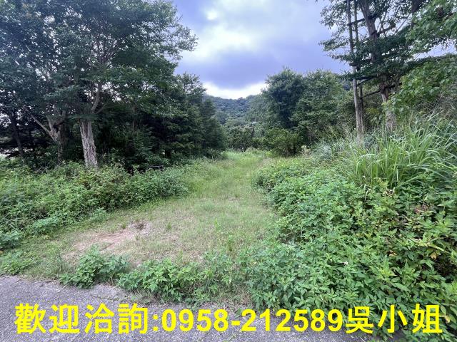 湖口農地-4