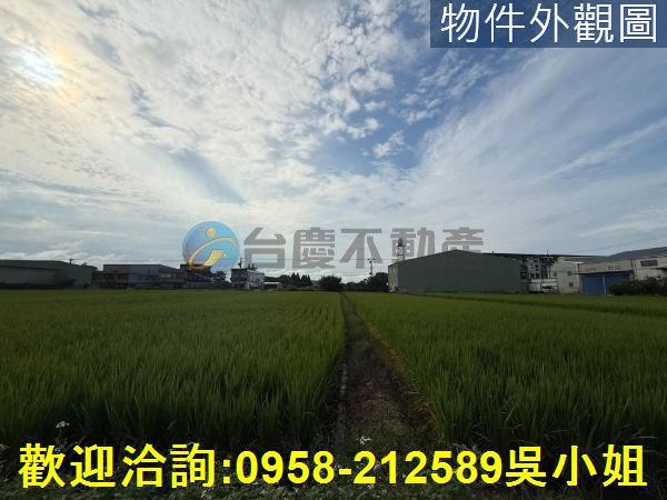 楊梅農地-0