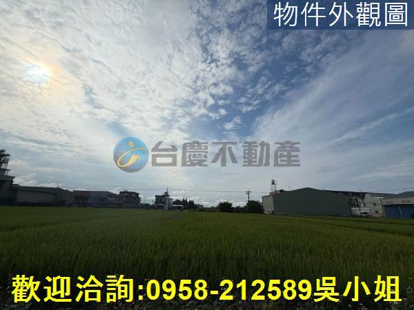 楊梅農地-1