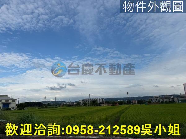 楊梅農地-5