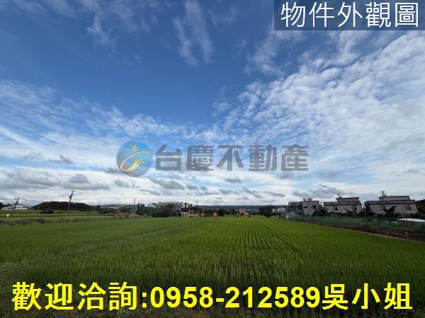 楊梅農地-7