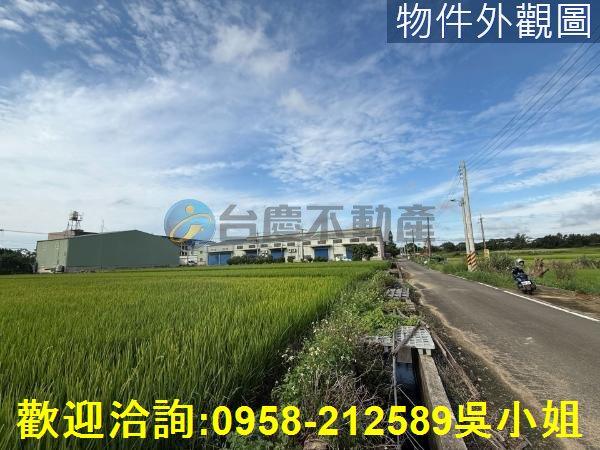 楊梅農地-8