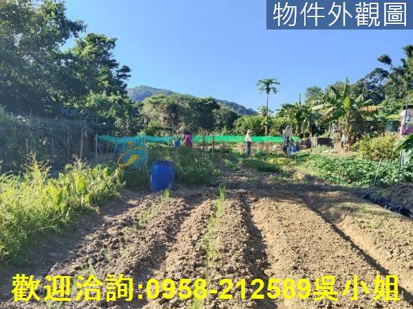 關西農地-9