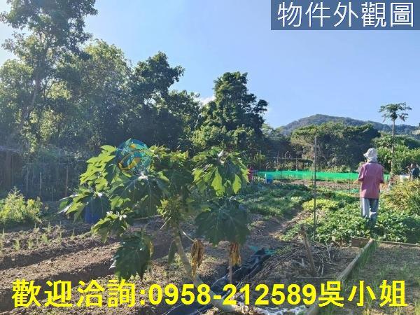 關西農地-2