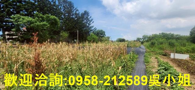 新竹農地-6