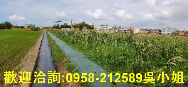 新竹農地-4