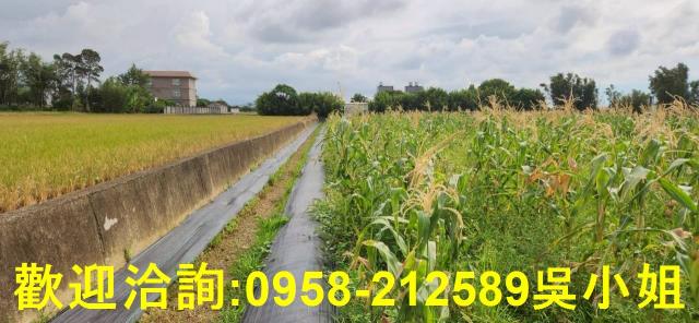 新竹農地-5