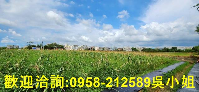 新竹農地-4