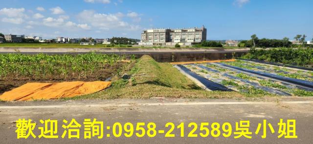 新竹新豐農地-10