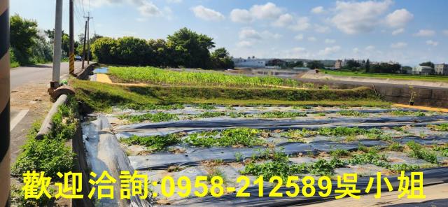 新竹新豐農地-12