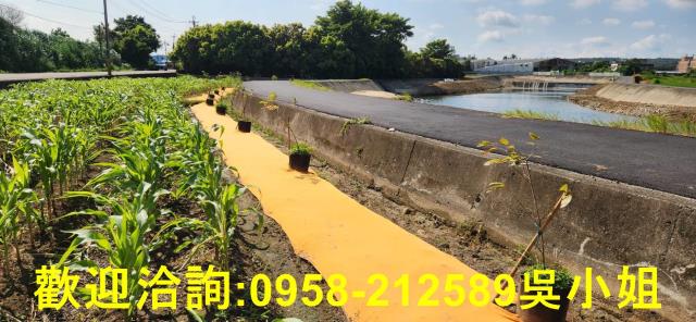 新竹新豐農地-13