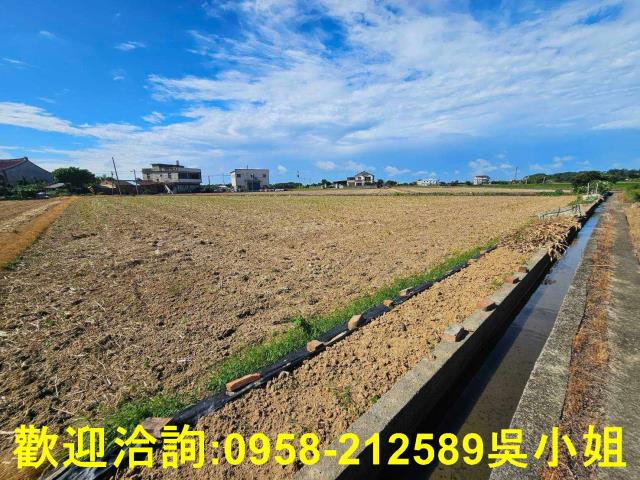 桃園農地-1