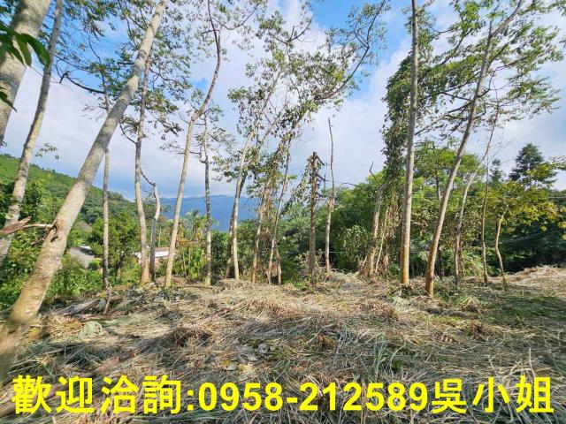 新竹橫山山坡地-0