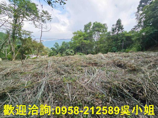 新竹橫山山坡地-4